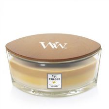 trilogy fruits of summer ellipse candle woodwick 