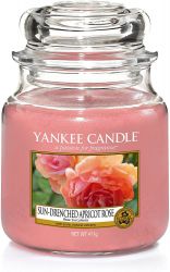 157714e sun drenched apricot rose medium jar rose succulente yankee candle 