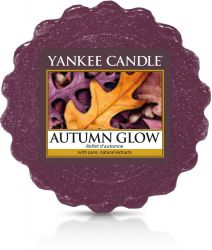 autumn glow tartelette yankee candle 