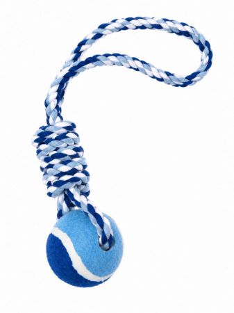 bb6 